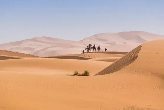 Rencontre Romantique à Agadir : Découvrez l'Essence du Maroc avec Notre Agence Matrimoniale - Agence matrimoniale Unicis